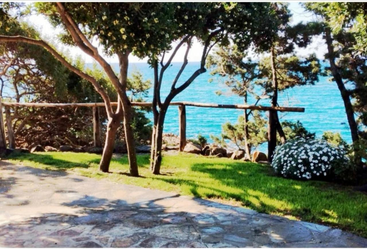 Villa Vera Trifamigliare Con Ingresso Diretto 20 Mt Al Mare Clima Wi-Fi Bbq Cala Liberotto Exterior photo